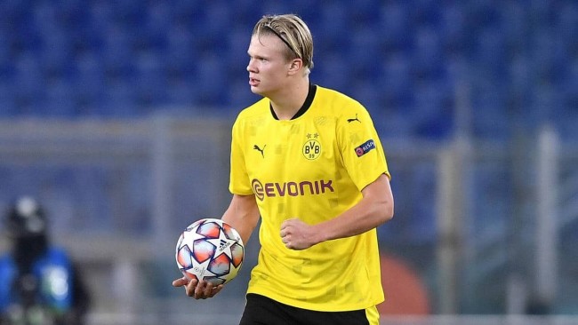 泛体育受众 泛体育受众